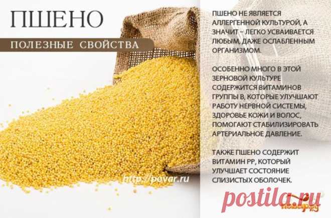 Пшено полезные свойства