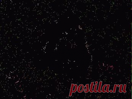 животные
