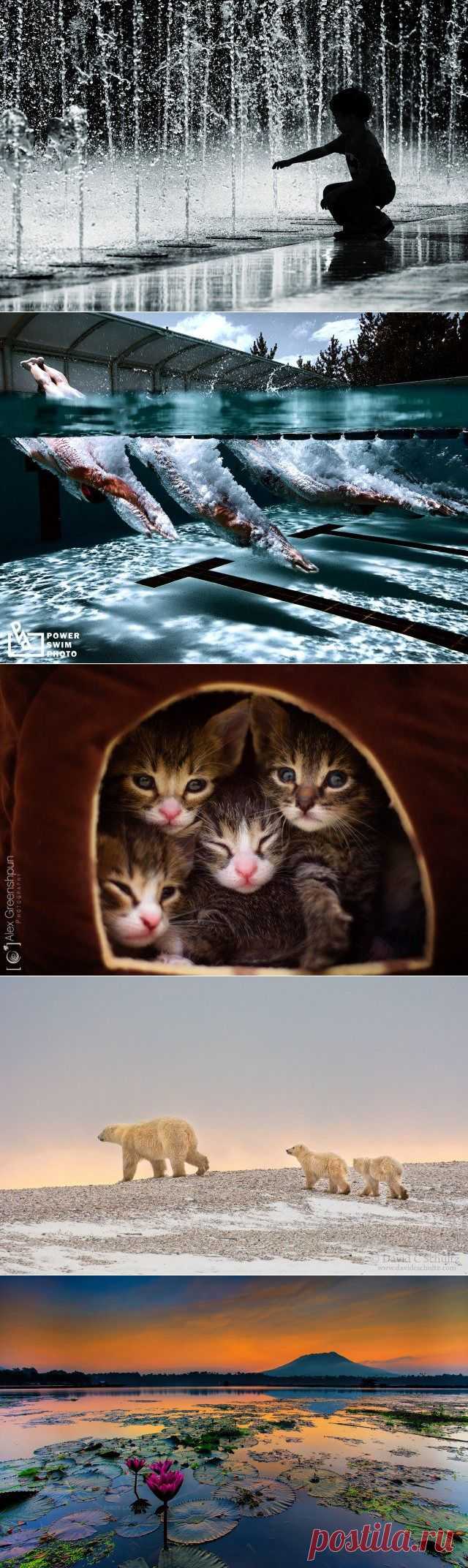 Лучшие фотографии недели / Всё самое лучшее из интернета