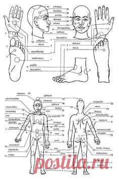 (587) Pinterest