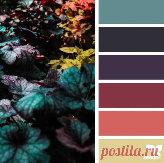 Post from 20.11.2018 | Палитра • Цветовые схемы • Seeds