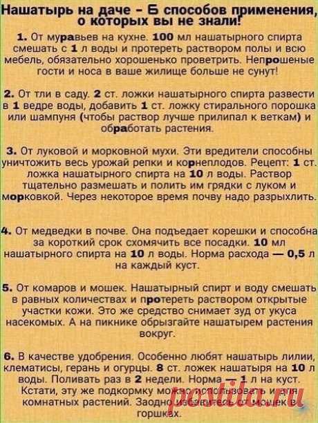 огород