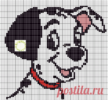 Dalmatiërs
