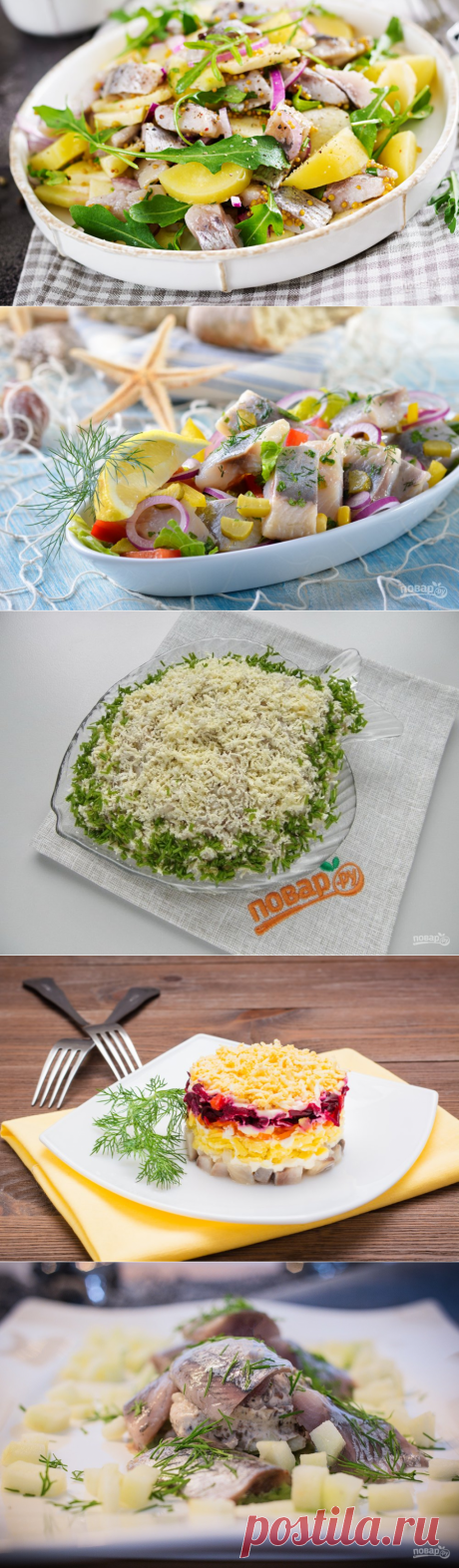 Селедка с яблоками. Салат с яблоком и сельдью. Форшмак из селёдки. Салат с копчёной сельдью. Салат &quot;Сельдь в новой шубе&quot; (с яблоками). Селёдка по-польски.