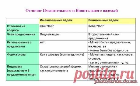 Отличия именительного и винительного падежей - Форум обучение с помощью интернета