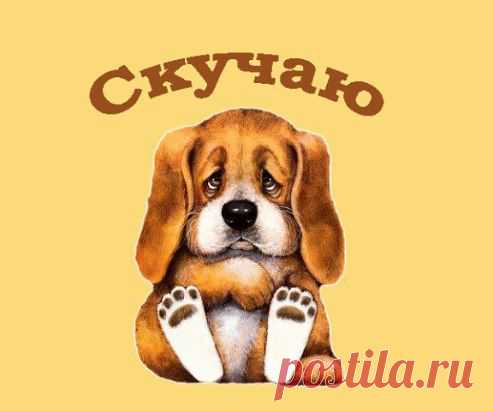 Одноклассники