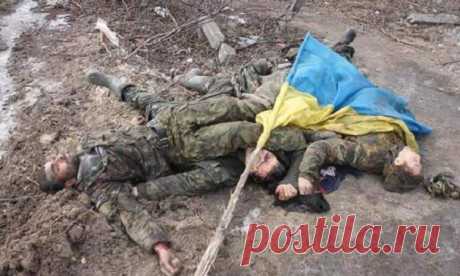 Сводка общих потерь Украины в карательной операции на Юго-Востоке страны и прилегающих регионах | БАЗА 211- ВОЕННАЯ ИСТОРИЯ