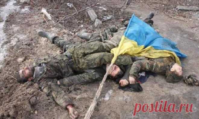 Сводка общих потерь Украины на Юго-Востоке страны и в прилегающих регионах