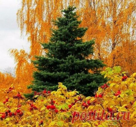 Лишь тот, кто ждёт — оценит встречу, в разлуке нет ничьей вины - кто не любил — тот гасит свечи, кто любит — тот горит внутри. © Эль Твит