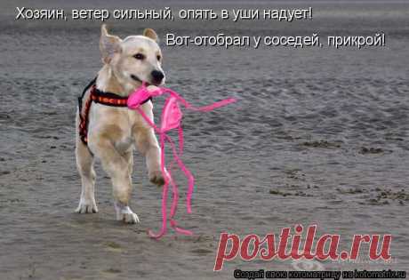 Свежая котоматрица - заряд эмоциями на весь день