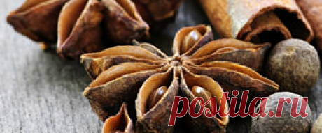 Арикон - производитель приправ, специй, пасхальная продукция оптом, кулинарные добавки, продукты быстрого и моментального приготовления.