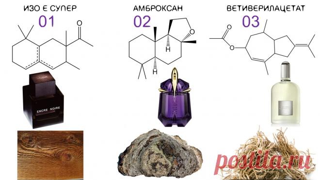 Частичная аносмия, обонятельная адаптация или «почему я не чувствую молекулы» ~ Запахи Природы и Аромахимия