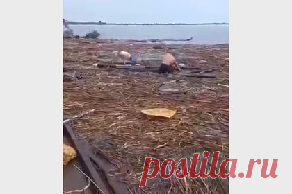 Пес спасся после разрушения Каховской ГЭС и проплыл 140 километров на доске. После разрушения Каховской ГЭС и затопления близлежащих городов и поселков пес каким-то образом сумел забраться на деревянную доску и проплыть больше сотни километров вниз по течению Днепра, пока его не вынесло в море недалеко от Одессы. Там собаку спасли местные жители.