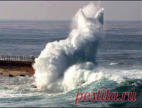 (89) Одноклассники