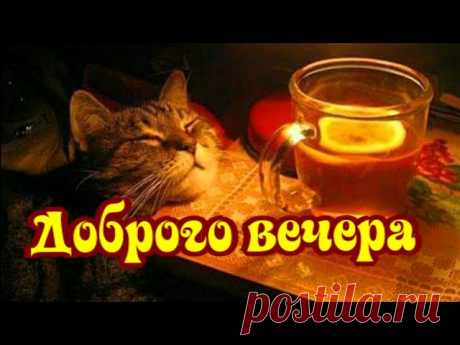 Чашечка тепла в твой вечер! Хорошего настроения!