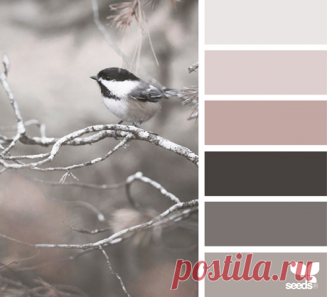design seeds | perched tones | for all who ♥ color