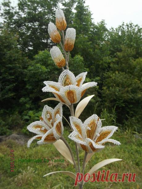 biser.info_87138_cvetok_1405332324.jpg (1200×1600)