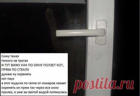Одноклассники