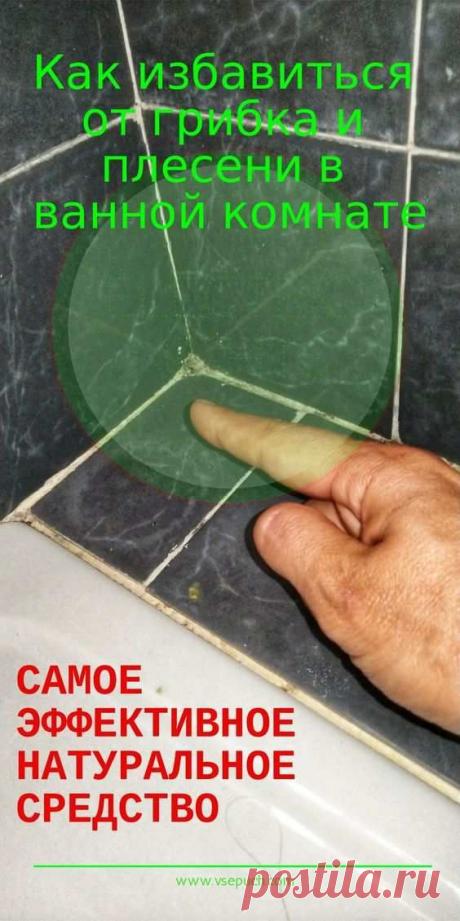 Как избавиться от грибка и плесени в ванной комнате. Самое эффективное натуральное средство!