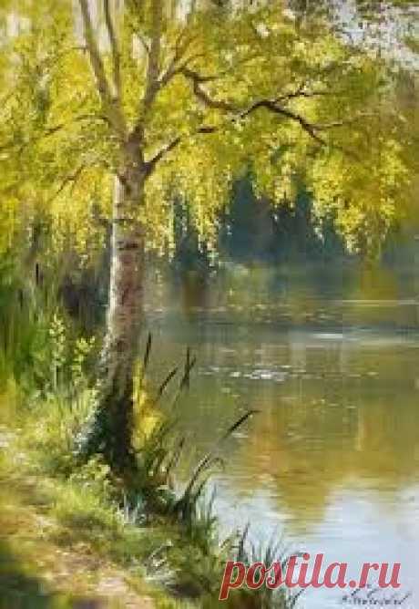 Image result for serguei toutounov