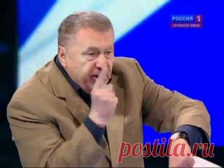 Лучшая речь Жириновского. - YouTube