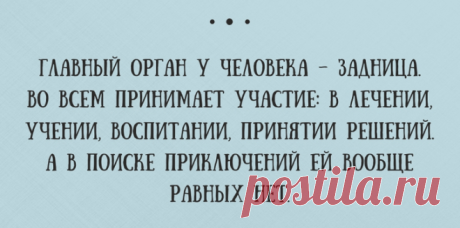 20 жизненных открыток с юмором