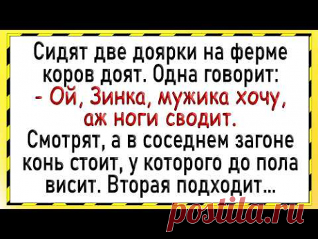 Как две доярки с конем развлекались! Сборник свежих анекдотов! Юмор!