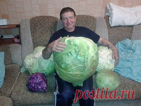 Хитрости жизни. Добавлена фотография в альбом Огородное государство