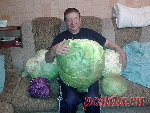 Хитрости жизни. Добавлена фотография в альбом Огородное государство