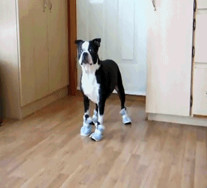 как люди в обуви ходят ??? у меня не получается...
