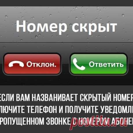 8 интересных фактов (8 фото)