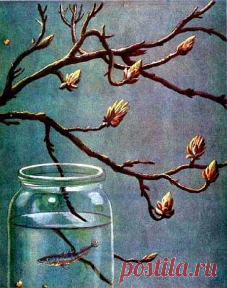 Рыбий дом - Виталий Бианки