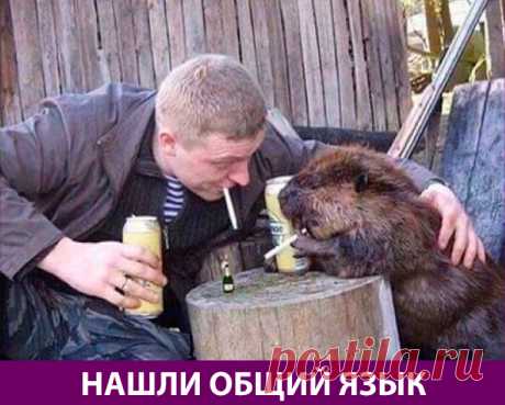 Приколняшка 649 #юмор #приколы #смешные картинки | Чёрт побери