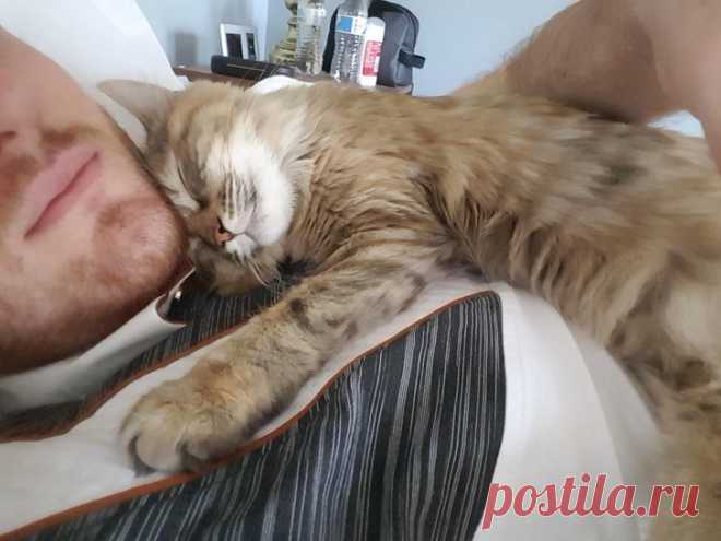 20+ животных, ради которых хозяева готовы на все