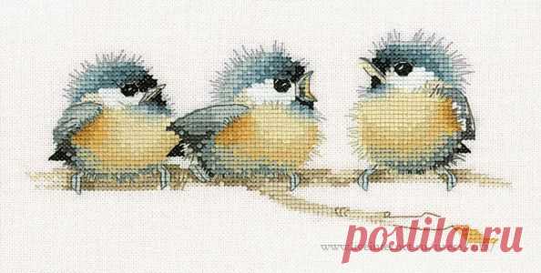 Вышивка крестом, схемы Птички Trios Sitting Pretty.