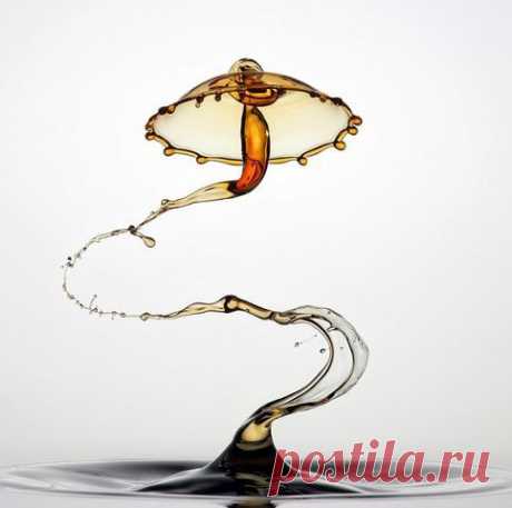 Шедевры фото