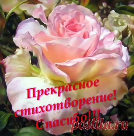 СТРАННИЦА НЕБЕСНАЯ. — Литсайт.ру