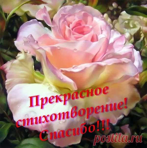 СТРАННИЦА НЕБЕСНАЯ. — Литсайт.ру