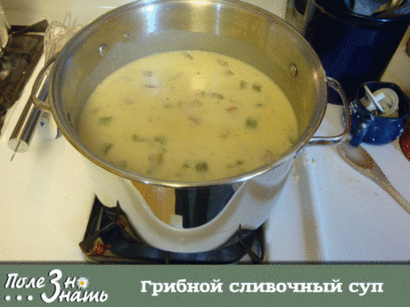 Невероятно вкусный сливочно - грибной суп ! Сочетание сливок, плавленого сыра и грибов — очень вкусно, просто пальчики оближешь! 
Нам понадобится: 
шампиньоны — 200 гр. 
картошка — 2 шт. 
сливки (можно молоко) — 100 гр. 
морковка — 1 шт. 
сырок плавленый — 70-100 гр. 
лук репчатый — 1 шт. 
укроп — 1 пучок; 
соль и перец — по вкусу;
растительное масло для жарки. 
Самый вкусный грибной сливочный суп. 
Способ приготовления:
Чтобы готовить грибной сливочный суп, сначала необхо...