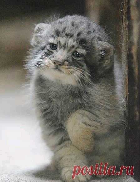 Полина Епифанцева – Google+