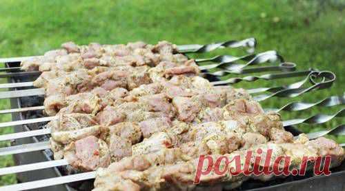 Шашлык из свинины с мятой и киви / Простые рецепты