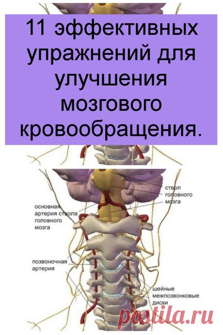 11 эффективных упражнений для улучшения мозгового кровообращения.