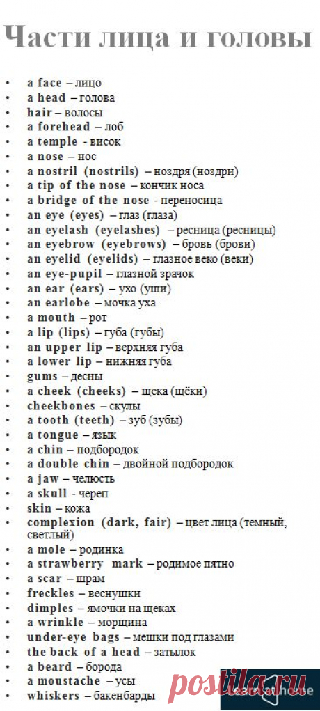 Части тела (головы) на английском #english #vocabulary