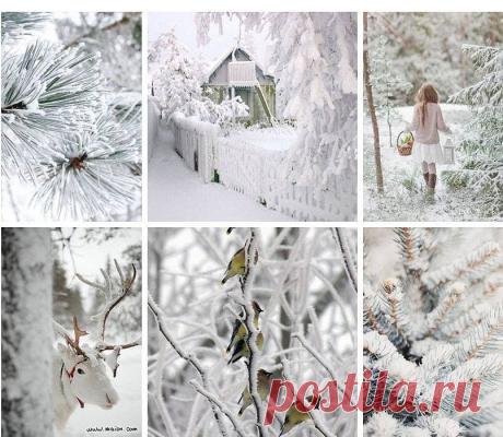 Я смотрю на тебя пристальным взглядом,
От недопонимания ты щуришь глаза.
Все знакомо от губ до очертаний лица…
Извини, просто мне кажется, что я тебя знаю.

Проходят дни и ночи, а ты до сих пор в голове,
Ты мне видишься в каждой, кто идет вдалеке.
Много времени прошло, а я тебя никак не забываю.
Извини, просто мне показалось, что я тебя знаю.