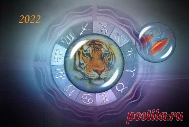 Гороскоп для Рыб на 2022 год | Нина Стрелкова. Астропропаганда | Яндекс Дзен
♓✨ Автор: астролог Нина Стрелкова. ✧ Год 2022 сложный для вас. Но при всем при том это лучшее время для определения своих идеалов и духовного пути. Интерес к духовной сфере, появление близких по духу друзей ведет к формированию новых взглядов на жизнь и пробуждению скрытых способностей. Не исключено также переход на более здоровый образ жизни, избавление от вредных пищевых и иных привычек...
