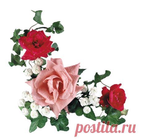 РОЗЫ ДЛЯ ВАС В PNG + КОД