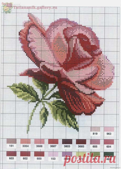 Debbe Shumaker приколол(а) это к доске cross stitch flowers | Pintere…
