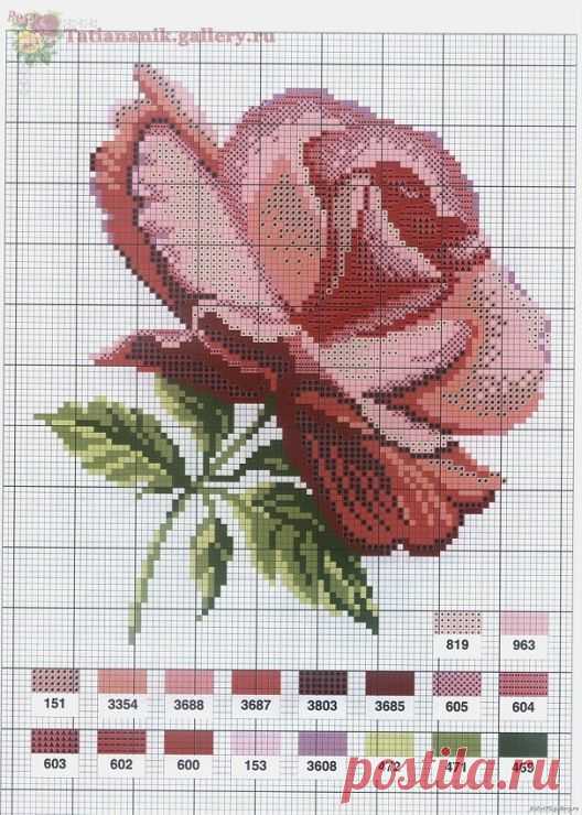 Debbe Shumaker приколол(а) это к доске cross stitch flowers | Pintere…