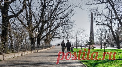 «СТРАНА.ua»: в Одессе облили краской Александровскую колонну. В Одессе облили краской Александровскую колонну, находящуюся в парке Шевченко. Читать далее