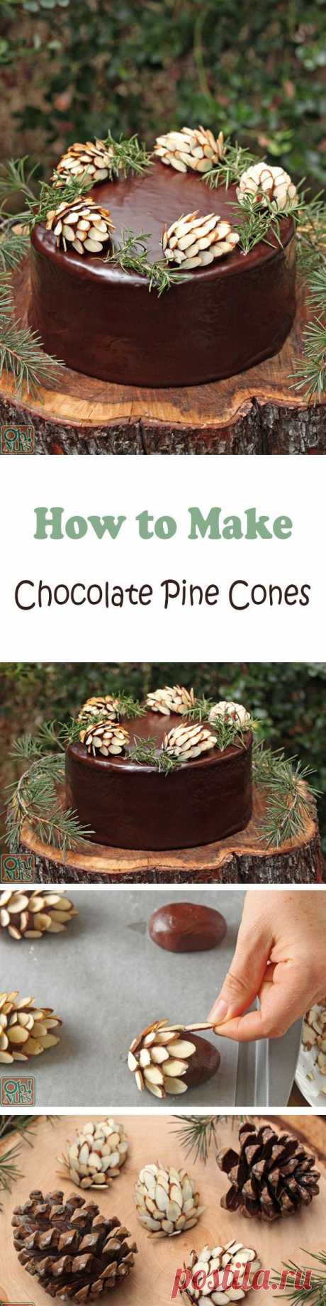 Chocolate Pine Cones